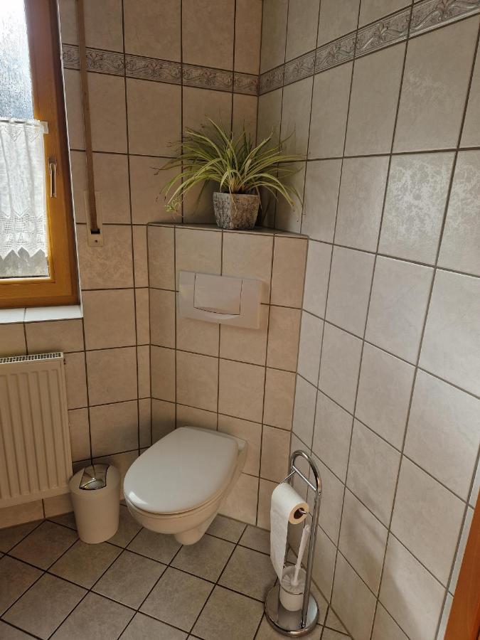 אלקן Ferienwohnung Moselzeit מראה חיצוני תמונה