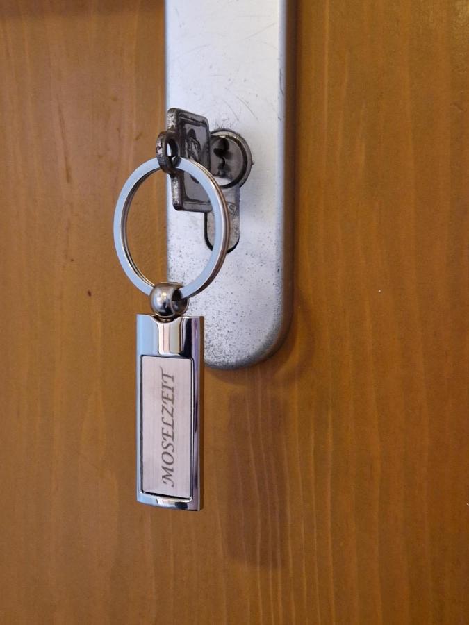 אלקן Ferienwohnung Moselzeit מראה חיצוני תמונה